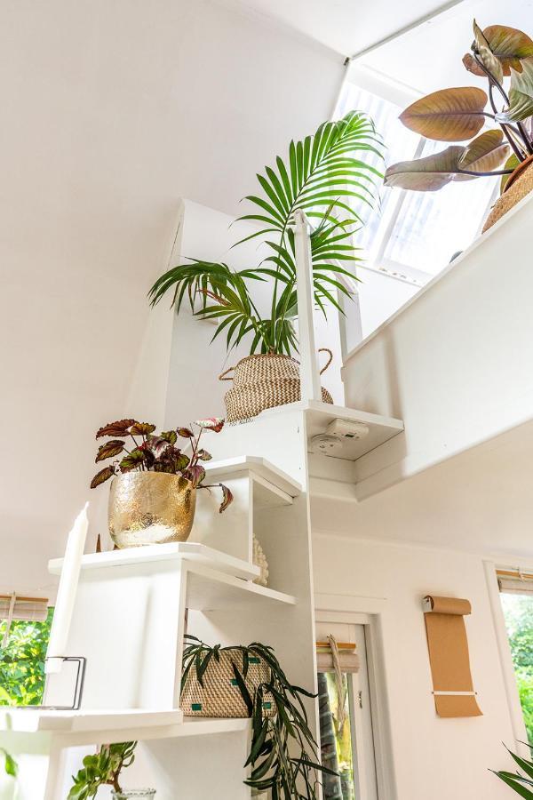Boho Hill Waiheke Island Villa Palm Beach Kültér fotó