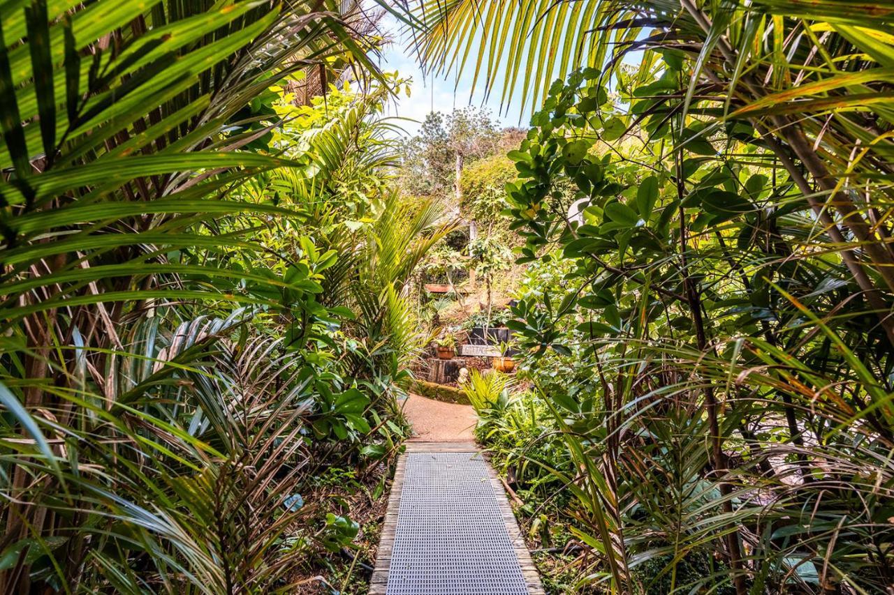 Boho Hill Waiheke Island Villa Palm Beach Kültér fotó