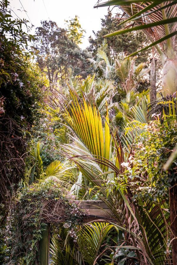 Boho Hill Waiheke Island Villa Palm Beach Kültér fotó
