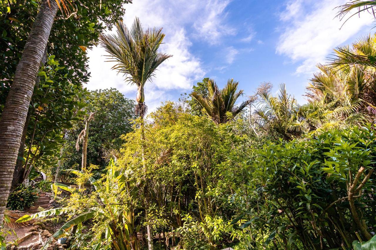 Boho Hill Waiheke Island Villa Palm Beach Kültér fotó