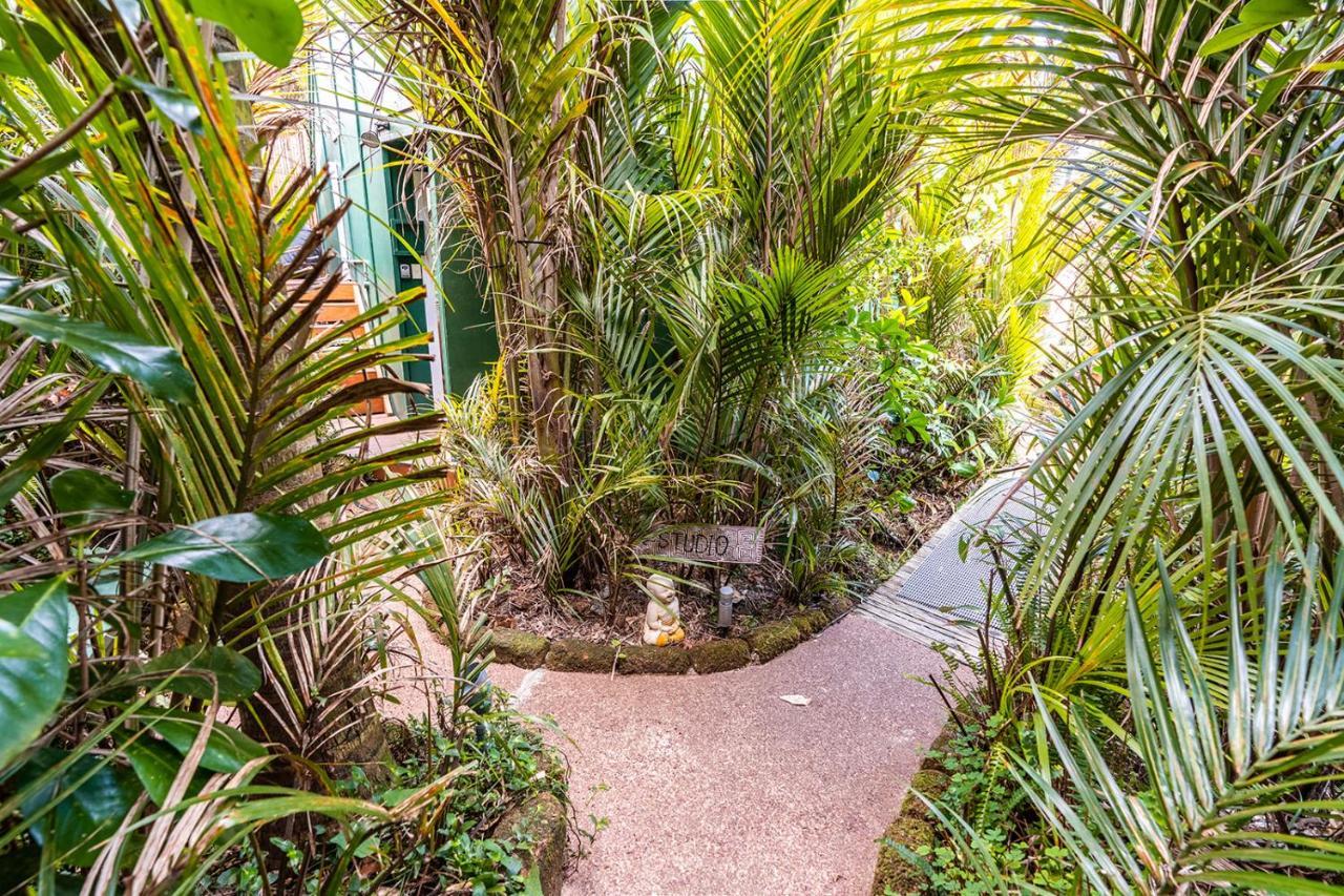 Boho Hill Waiheke Island Villa Palm Beach Kültér fotó