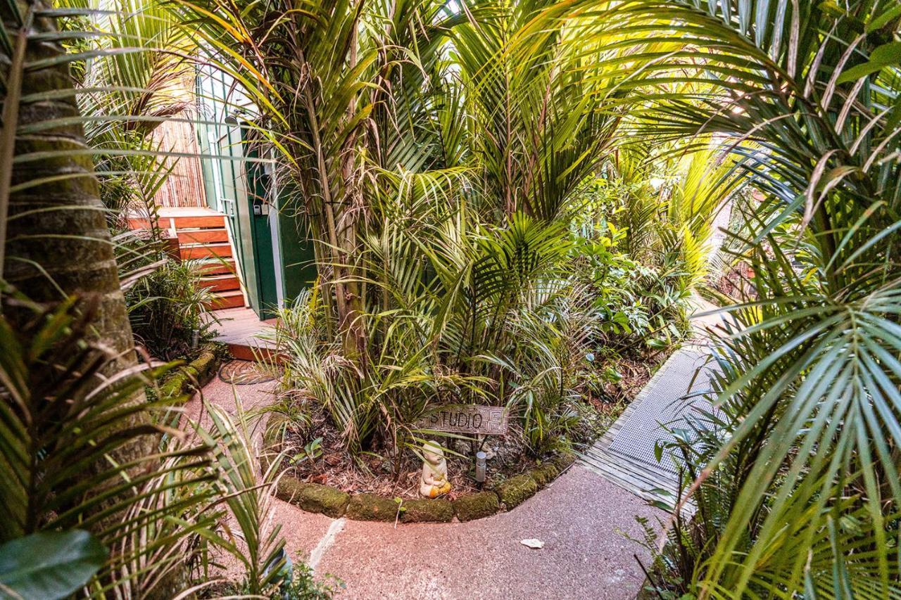 Boho Hill Waiheke Island Villa Palm Beach Kültér fotó